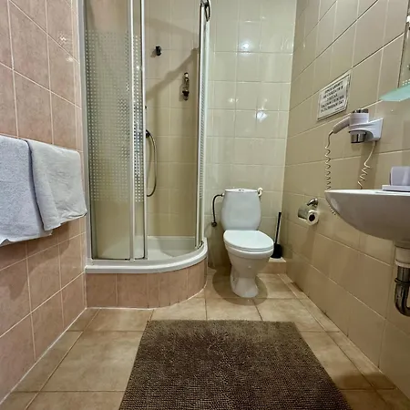 Троянда Карпат-3